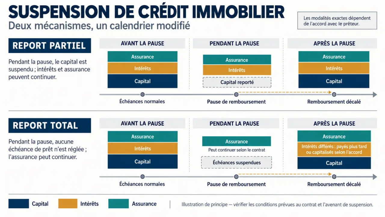 Infographie sur la suspension crédit immobilier avec report total, report partiel, intérêts et assurance